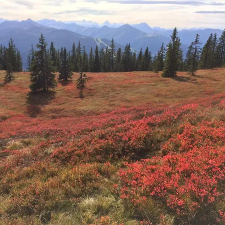 Διαμέρισμα Kibach